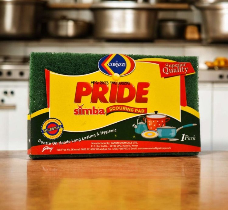 Pride Simba Scouring Pad Std 4pk 48x1