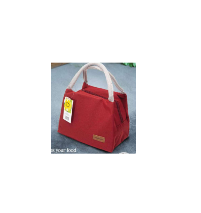 HOMEWAY PORTABLE INSULATED LUNCH BAG 22CM - HW3819