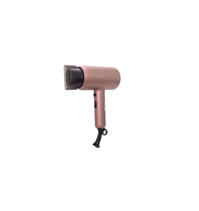 PROFESSIONAL HAIR DRYER - 1800W - CK3322