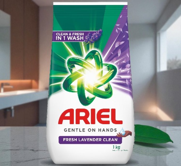 ARIEL 1Kgx12s Lavender