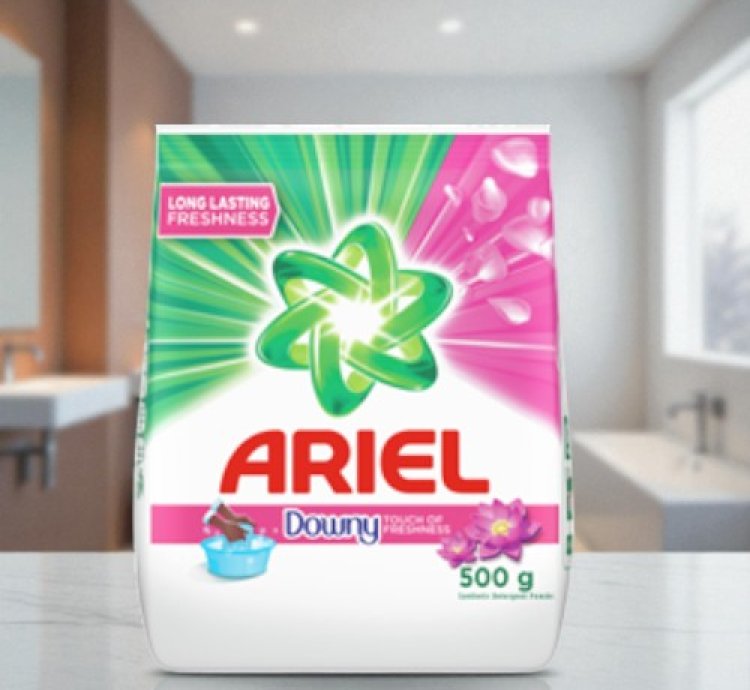 ARIEL 500gmsx24s AWT DOWNY