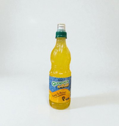 QUENCHER RTD PINEAPPLE 24X500ML SP