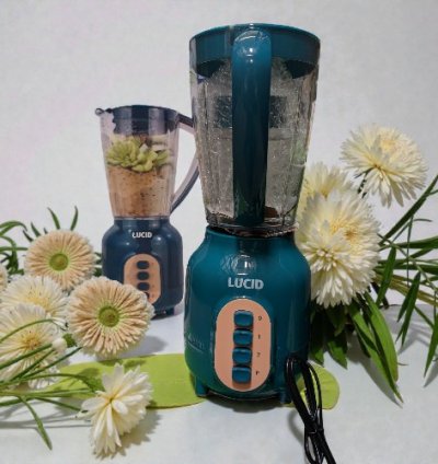 LUCID 2 IN 1 BLENDER LT-BL25P